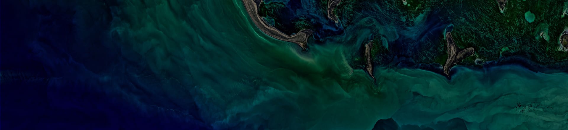 Aerial satellite view of a dark coastline where land meets swirling turquoise water.